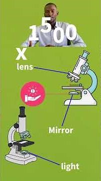 Introduction to cells | Light and Electron Microscopes