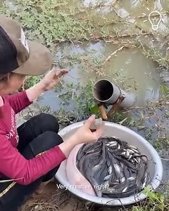 6.9K views · 11 reactions | If you guys like fishing, I bet you some tricks on how to get the most fish! | Tips Workshop | Facebook