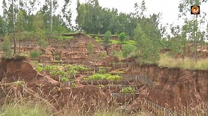 31K views · 951 reactions | የሀዋሳ ሀይቅን ከደለል ለመከላከል በቦሪቻ ንዑስ ተፋሰስ የሚሰራ ስራ አዘጋጅ፡ ቃለአብ ጸጋዬ | South Radio and Television Agency | Facebook