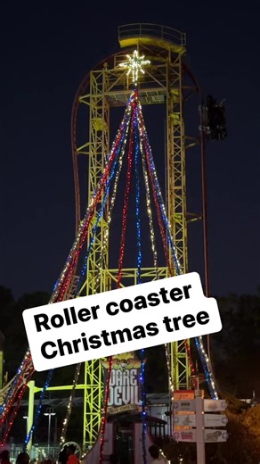 That’s a really big tree Six Flags Over Georgia & Hurricane Harbor #sixflags #themepark #amusementpark #rollercoaster | In The Loop
