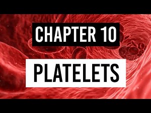 Platelets - Thrombocytes | Physiology of platelets | Functions of platelets