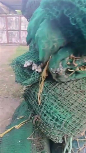 What is High definition Plastic Recycling?