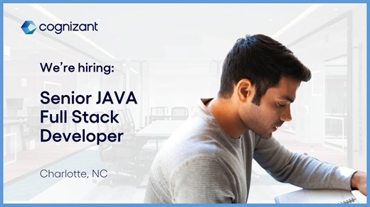 Senior JAVA Full Stack Developer