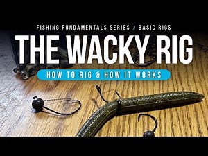 The WACKY Rig – How to RIG & HOW it Works!