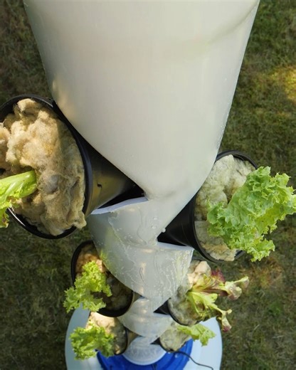 10K views · 59 reactions | Incredible DIY Vertical Garden! | Life Bites Gallery | Facebook