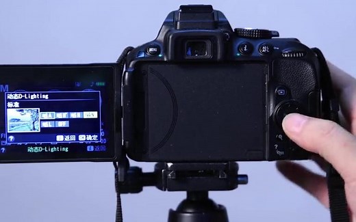 尼康入门单反相机D5300/D5600操作技巧