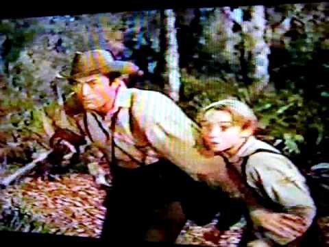 Pitbull-vs-Black-Bear.MOV