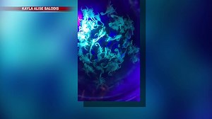 288K views · 1.1K reactions | NO! JUST NO! A Mesa woman says she is...