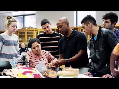 LBCC-Long Beach City College – The Place to Be