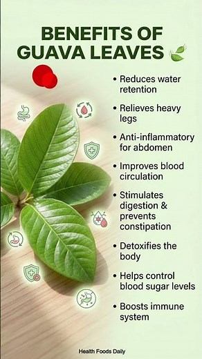 Don’t Ignore Guava Leaves! 🍃 10 Powerful Health Benefits You Need to Know #healthtips