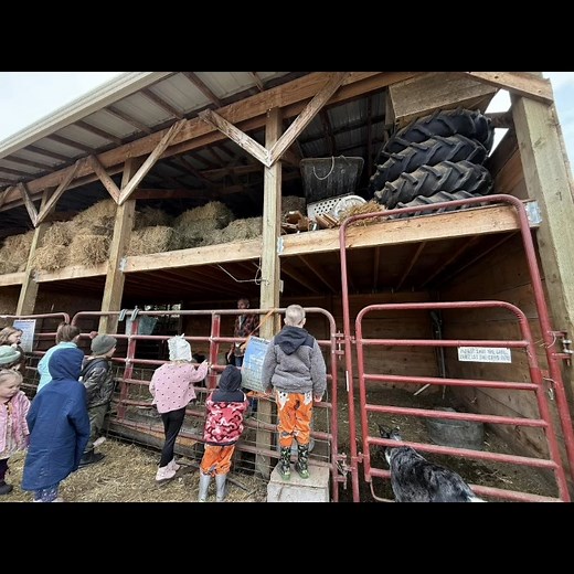 Another fun-filled field trip at Turner Farms! We toured the farm, met some friendly animals, and wrapped up our day in the pumpkin patch. 🎃🐮 Thank you again, Turner Farms , for such a wonderful visit | Zootown Homeschooling Community