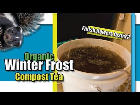 Will this Compost Tea make my Flowers Finish Faster?