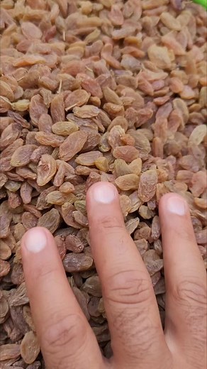 8.2K views · 79 reactions | الصباحي لتجارة العسل اليمني on Reels | Facebook