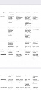 Veterinary Antibiotic Types Study Chart - Etsy