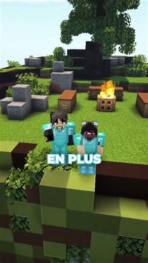 ⬆️ Rejoins le Discord en bio - Les types de joueurs sur mon serveur minecraft !