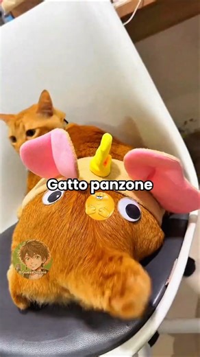 Gatto panzone 🐱 EP. 45