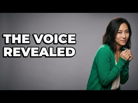 Was Vin Diesel Always The Voice Actor For Groot?