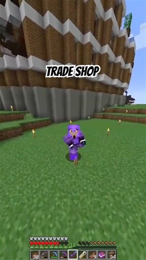 Le meilleur plugin ?! #minecraft #tutorial