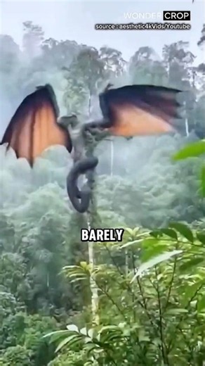 3 Animals Almost Nobody Knows Exist 😱