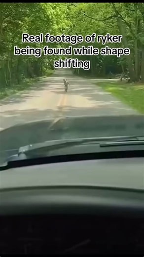 p_g_stories_official on TikTok