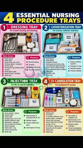 🩺 4 ESSENTIAL NURSING PROCEDURE TRAYS EVERY NURSING STUDENT SHOULD KNOW! Being familiar with nursing procedure trays is an important part of developing safe and effective clinical skills. Knowing the purpose of each tray, the required equipment, and the principles of aseptic technique helps nurses prepare confidently for patient care. 📌 Here are 4 essential procedure trays: 🩹 1. Dressing Tray: Used for wound cleansing, dressing changes, and supporting wound healing while minimizing infection 