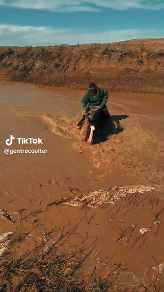 Ranching Adventures: A Cowboy's Wild Ride