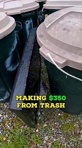 $350 "Trash" 😱 #trashpicking #mansions #treasurehunting #recycling | Tuck and Sammie J.