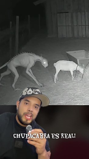 Chupacabra: ¿Realidad o Mito?