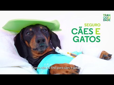 Tranquilidade | Seguro Cães e Gatos