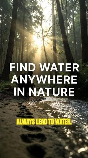 You're Lost in the Woods - Here's How to Find Water