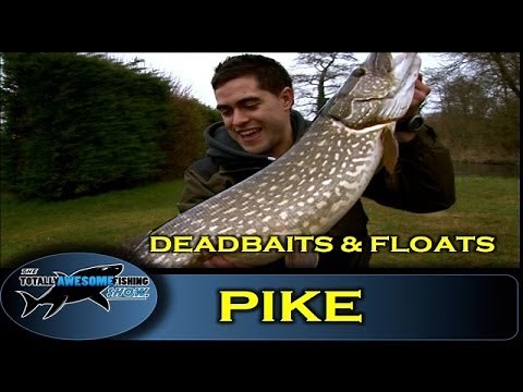 Pike fishing with Deadbaits and Floats - The Totally Awesome Fishing Show