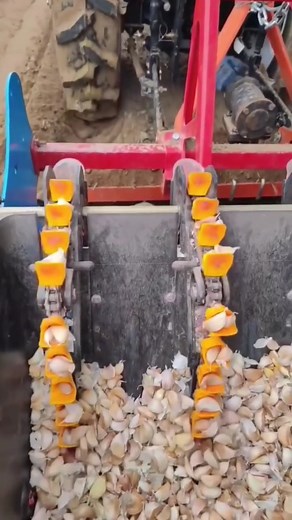 automatic garlic planting machine. | Media 9