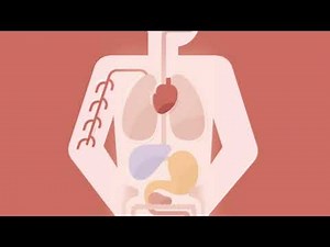 Autophagy Explained | What is #Autophagy and How is it a Benefit from Intermittent Fasting?