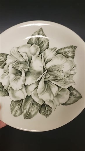 Vintage Johnson Brothers Plate: Sage Camellia Pattern, Made in England - Etsy