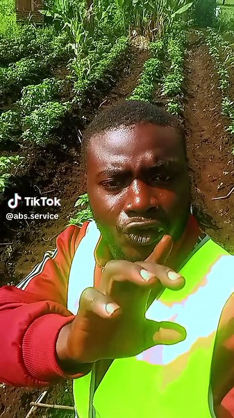 Astuces de Culture de Piment pour la Conservation