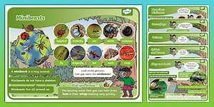 EYFS All About Minibeasts Fact Files