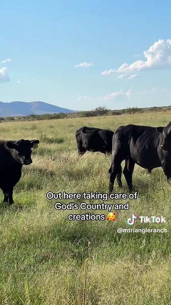 I know we say it a lot but we love this life we live 🤍 #fyp #mtriangleranch #cattle #az #agriculture