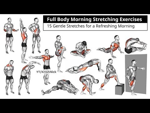 Full Body Morning Stretching Exercises | 15 Gentle Stretches for a Refreshing Morning