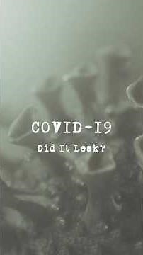 Did COVID-19 Start in a Lab? The Truth Explained