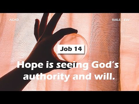 【 Job 14 】Hope is seeing God’s authority and will. ｜ACAD Bible Reading