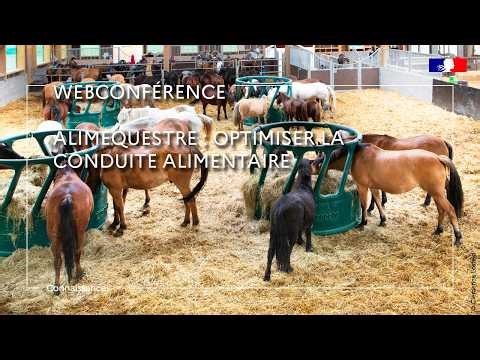 ALIMEQUESTRE : optimiser la conduite alimentaire - Pauline Doligez