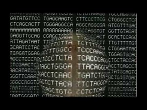 Genoma Humano | Parte 1