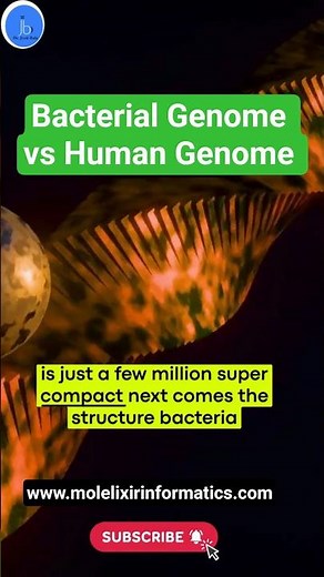 Bacterial Genome vs Human Genome Explained Fast | Small vs Complex Genome #biology #shorts #biotech
