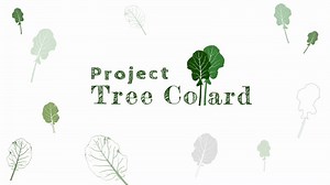 ProjectTreeCollard - Etsy