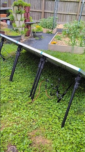 I Set Up 4 Solar Panels in My Backyard with these portable stands!