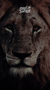 1.1M views · 28K reactions | Vrai !  | Street Punchline | Facebook