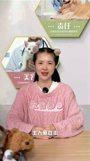 Revealing Your Personality: How Cats Mirror Your Subconscious