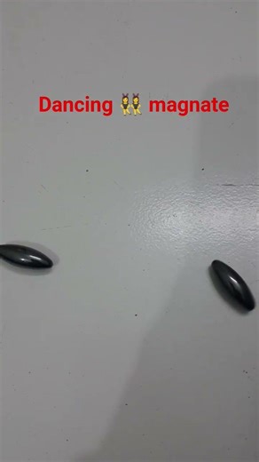 magnate fun #science #physics #physicswallah #experiment