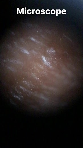 8.9K views · 111 reactions | Microscope making on my phone camera with a lance . #microscope #camera #electronics #project Electronics world Electronics dry Electronic For You Electronics all problem solve help bd El Guarromántico Electronic Project And Circuits Electronic Projects Electrical Engineering Questions ELECTRONICS HOBBY CIRCUITS IN FACEBOOK Electrical Control Panel Electrical control systems Electronic For All @highlight | Electronic circuit project | Facebook