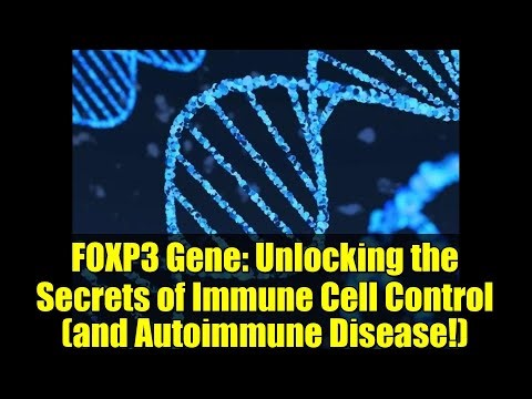 FOXP3 Gene: Unlocking the Secrets of Immune Cell Control (and Autoimmune Disease!)
